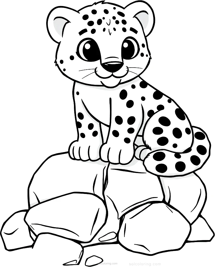 Snow Leopard on Rocks coloring page for kids