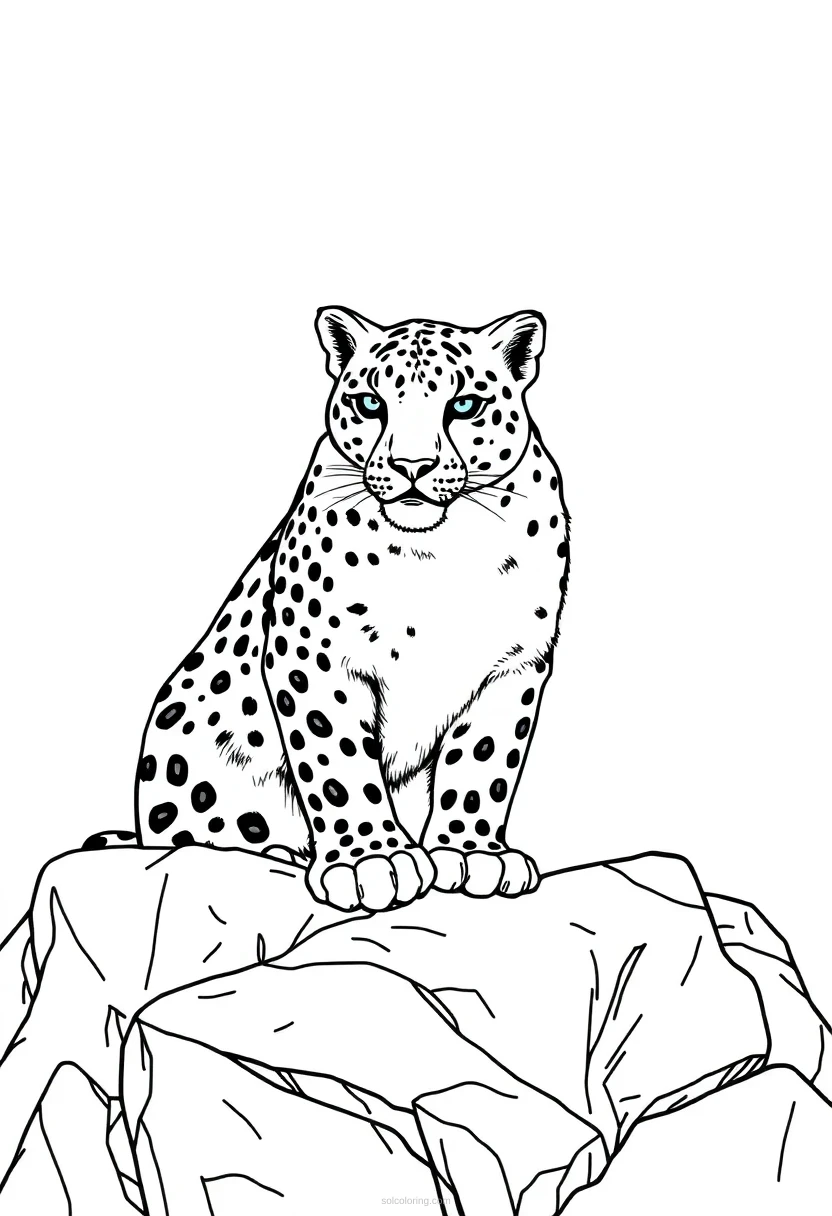 Snow Leopard on Rocks coloring page for kids