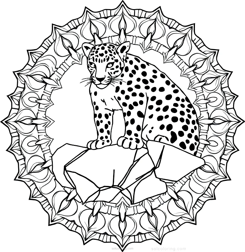 Snow Leopard on Rocks coloring page for kids