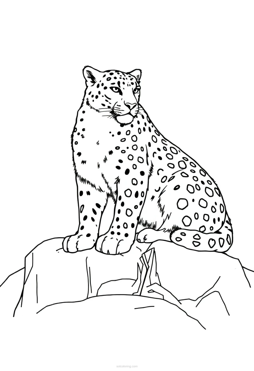 Snow Leopard on Rocks coloring page for kids