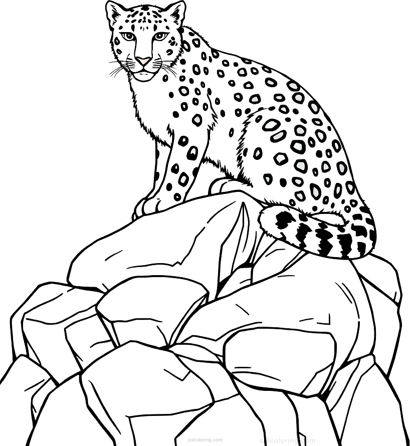 Snow Leopard on Rocks coloring page for kids