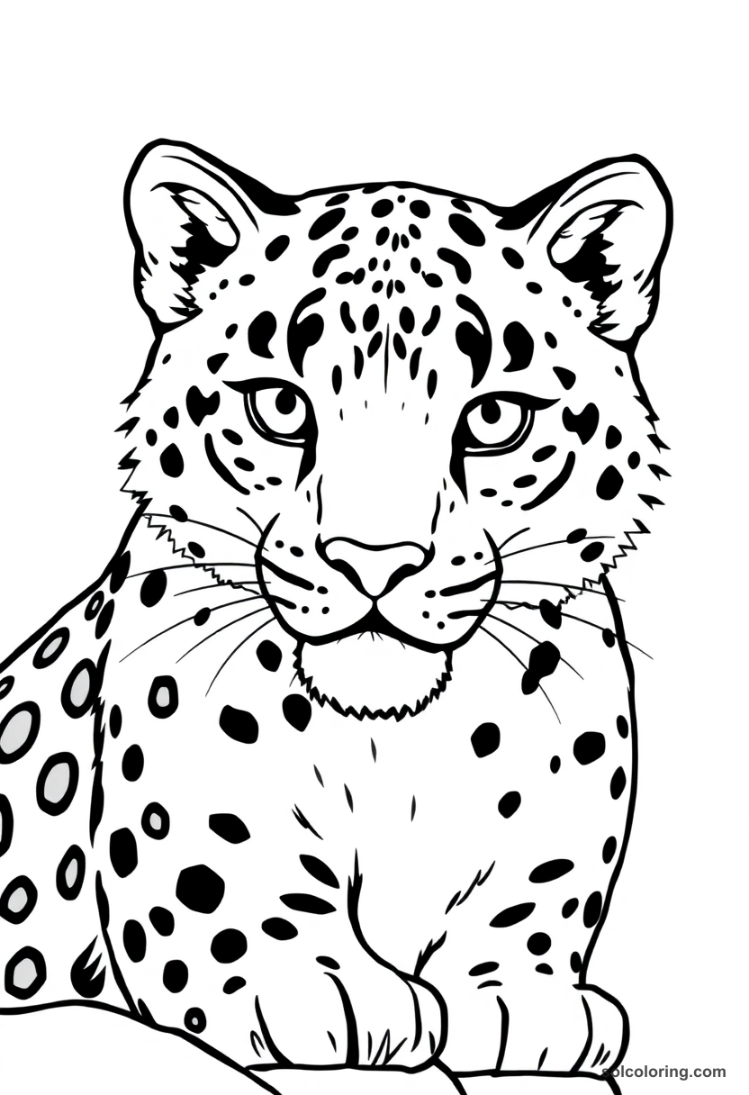 Simple Snow Leopard