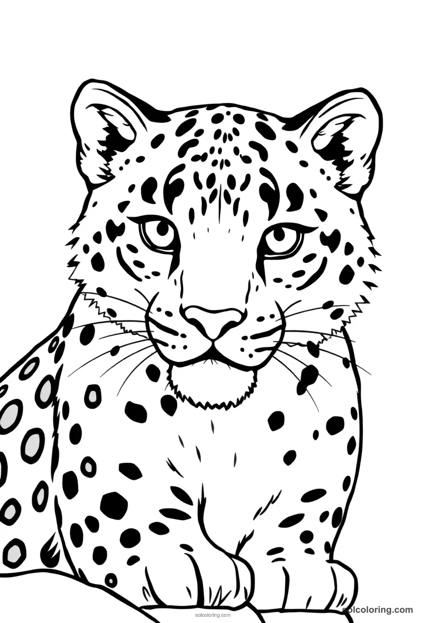 Snow Leopard simple coloring page for kids