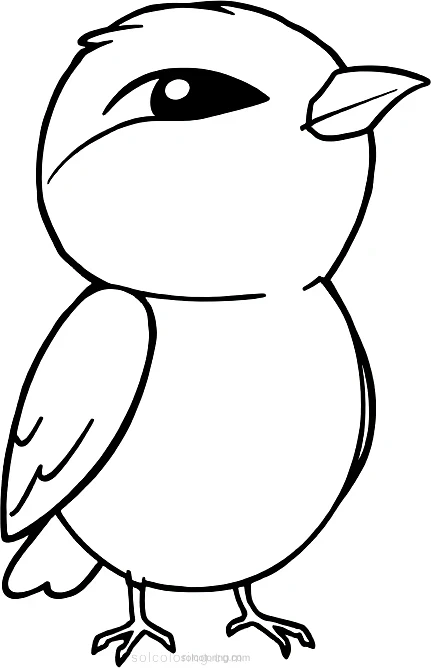 Sparrow coloring page for kids