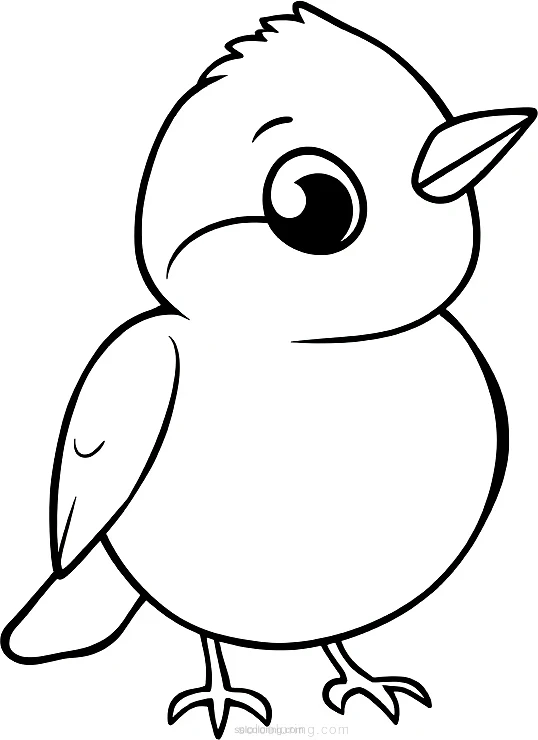Sparrow coloring page for kids