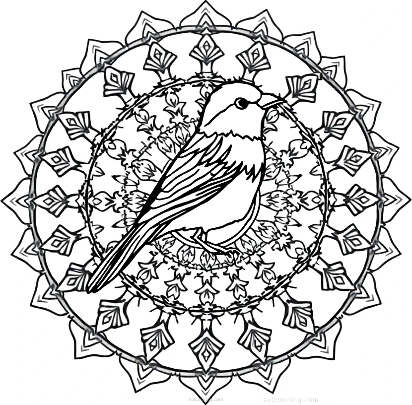Sparrow coloring page for kids