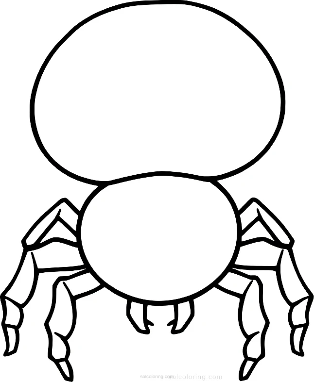 Spider coloring page for kids