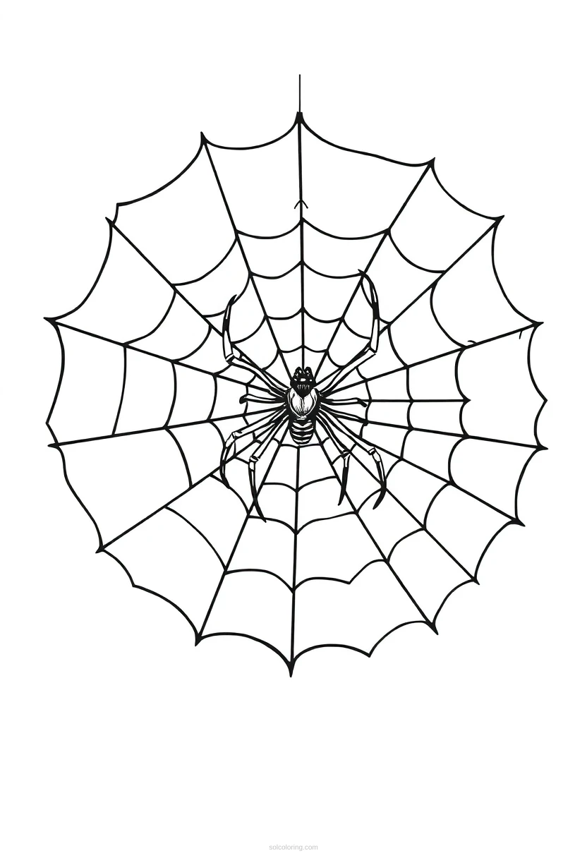 Spider Web With Spider coloring pages