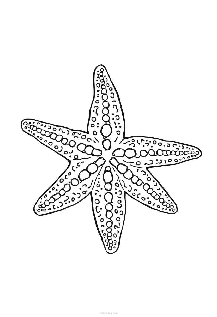 Starfish coloring page for kids