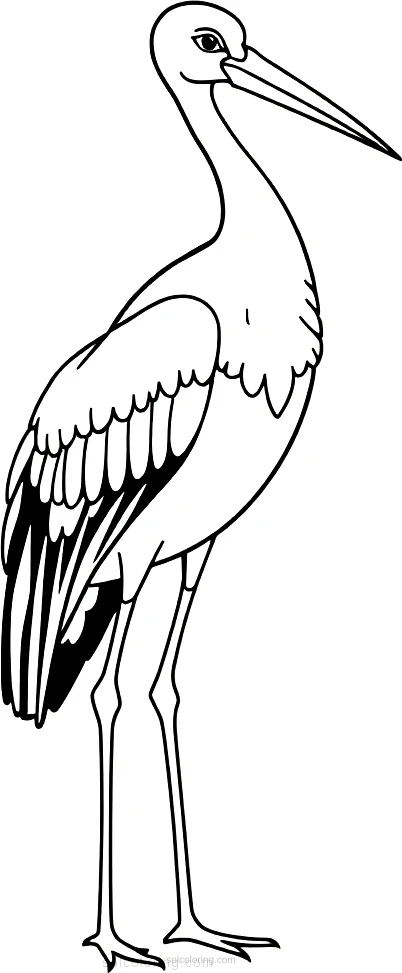 Stork coloring page for kids