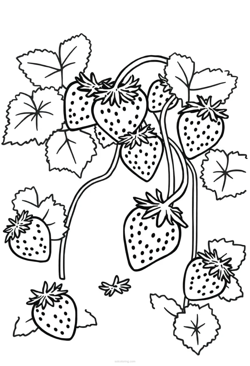Strawberry Patch coloring page for kids