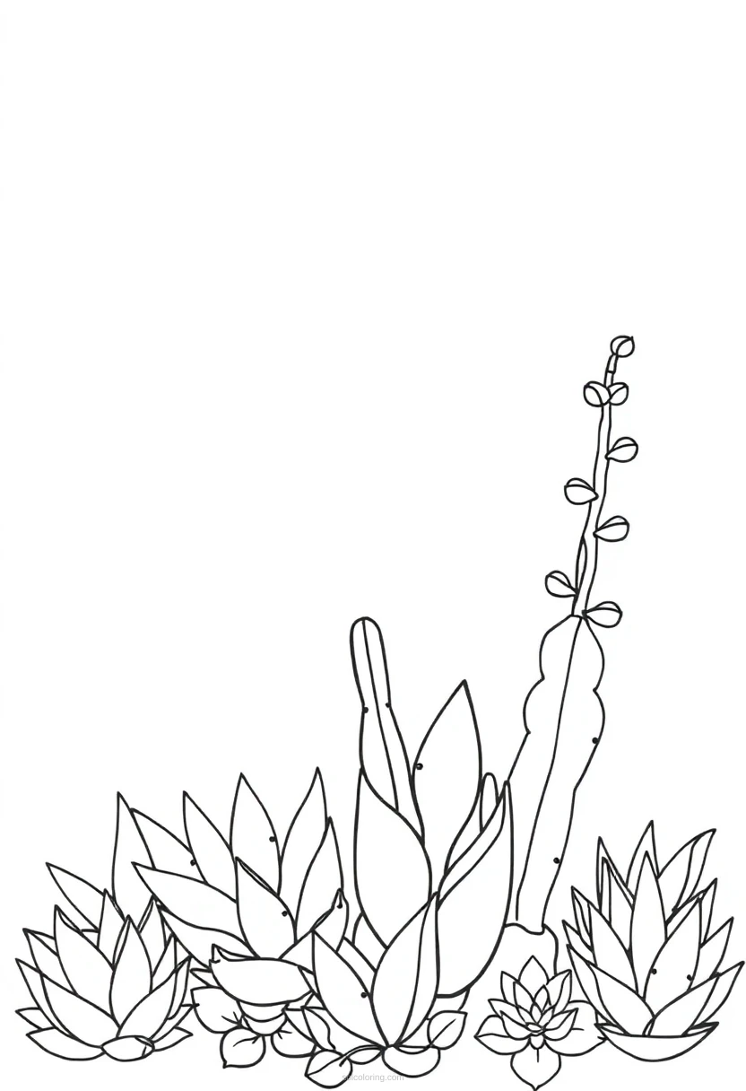 Succulent Garden coloring page for kids