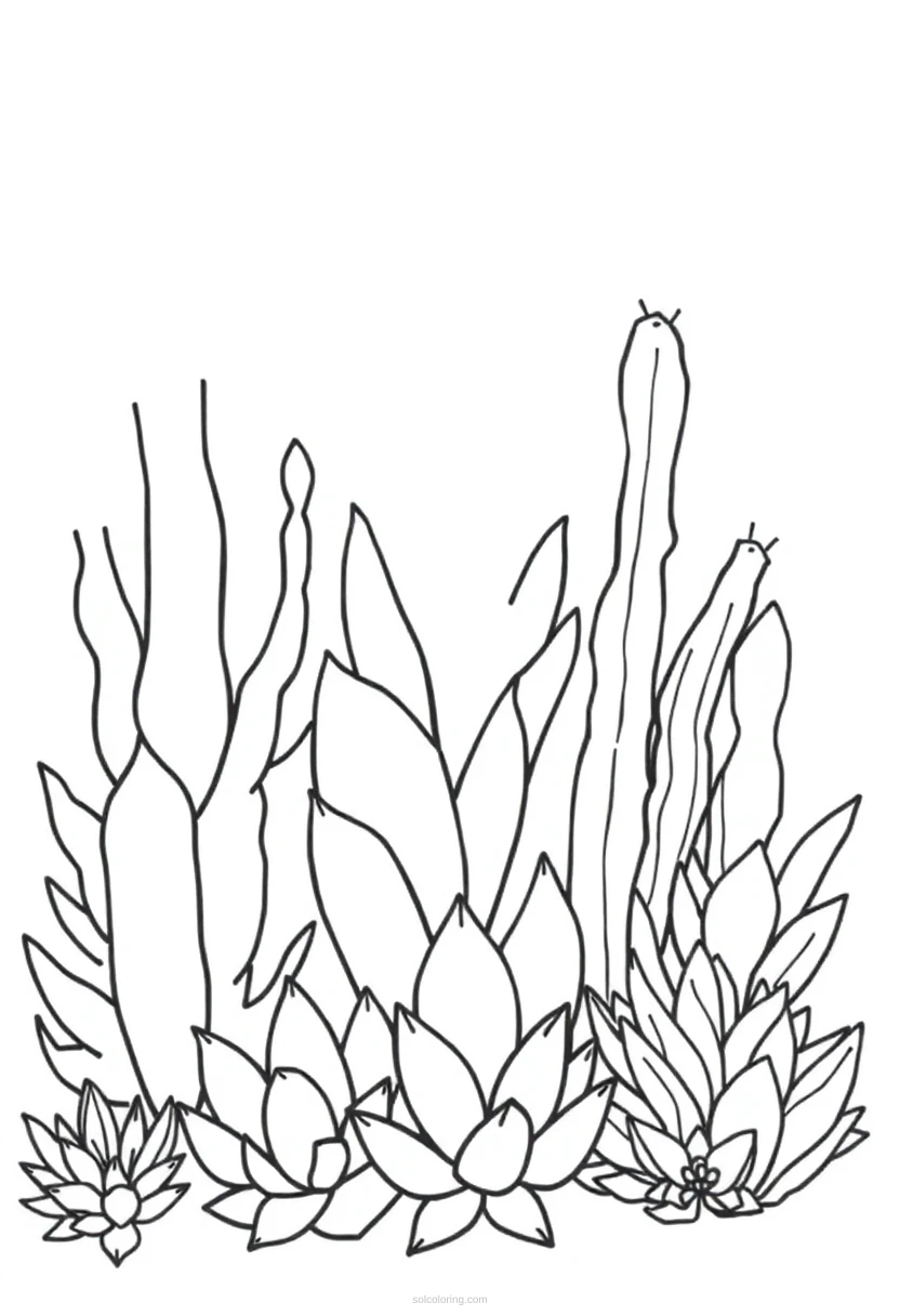 Succulent Garden Simple coloring page for kids