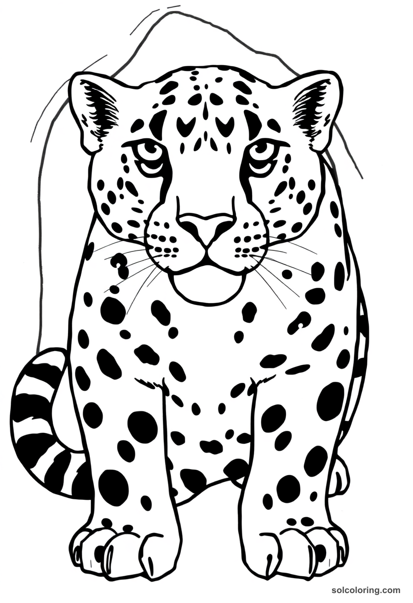 Simple Sunda Clouded Leopard