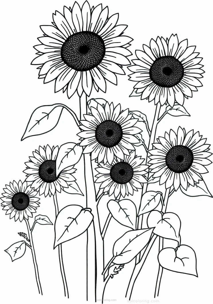 Sunflower Field Painting coloring page for kids