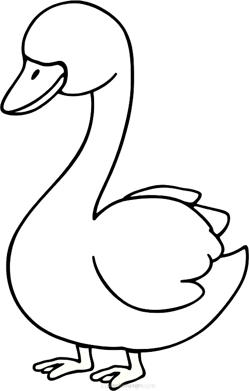 Swan coloring page for kids