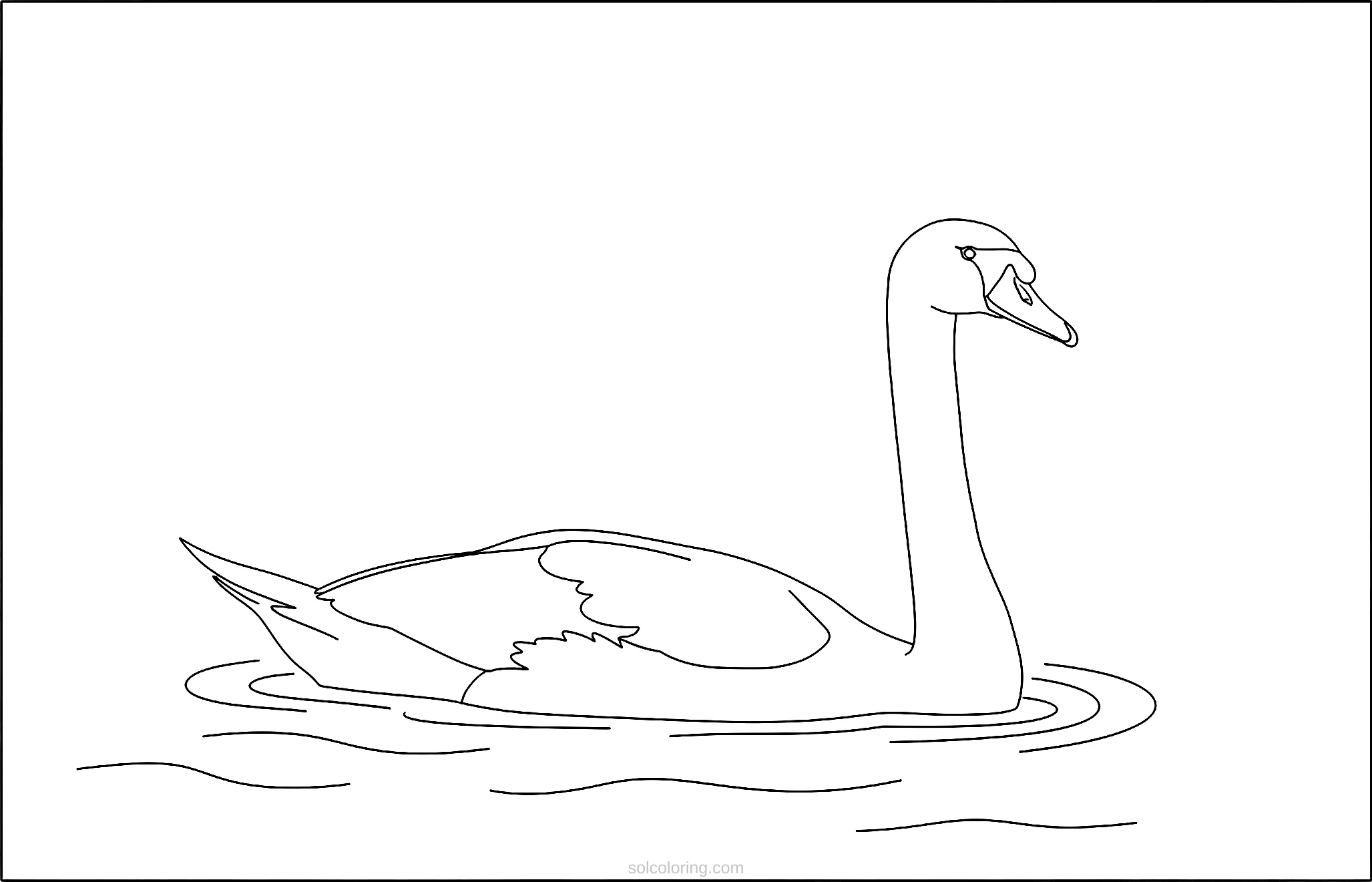 Swan coloring page for kids
