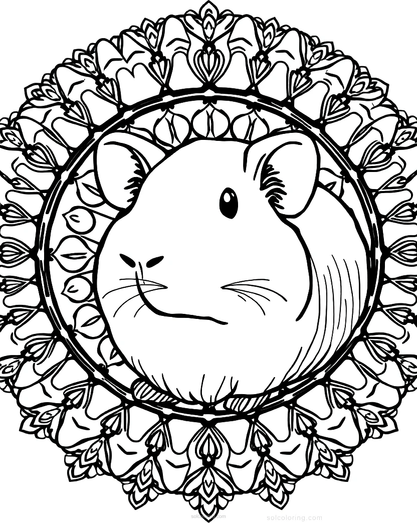 Sweet Guinea Pig coloring page for kids