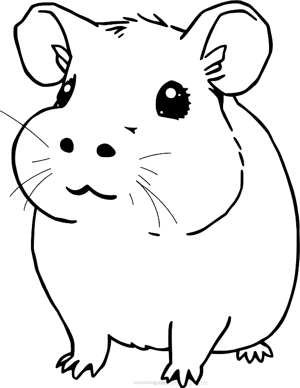 Sweet Guinea Pig coloring page for kids