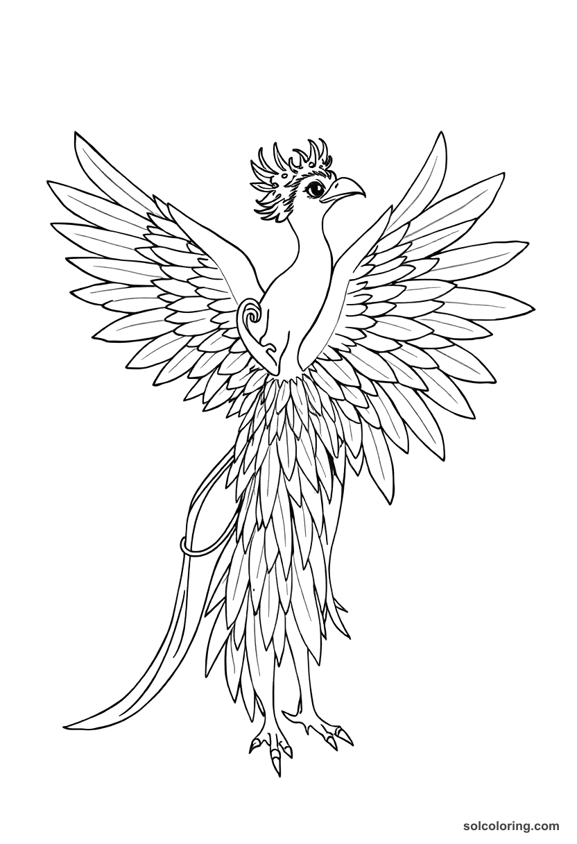 The bird princess transforming back from her avian form coloring page, free printable detailed style