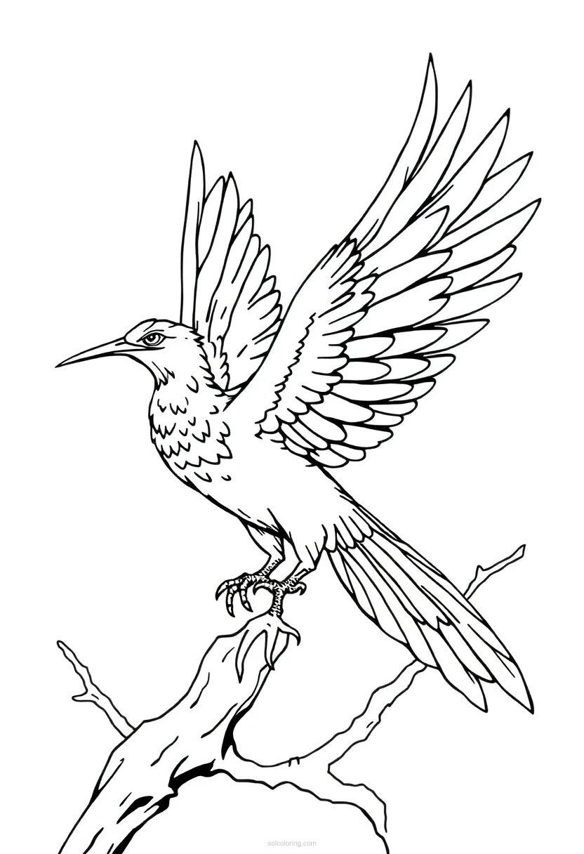 Thunderbird coloring page for kids