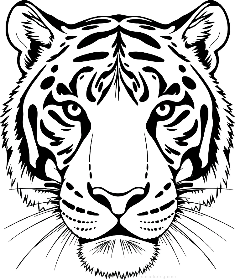 Tiger Face Close Up coloring page for kids