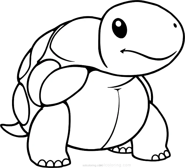Tortoise coloring page for kids
