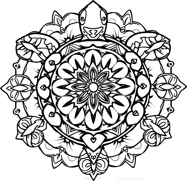 Tortoise coloring page for kids