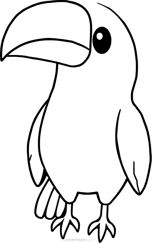 Toucan coloring page for kids