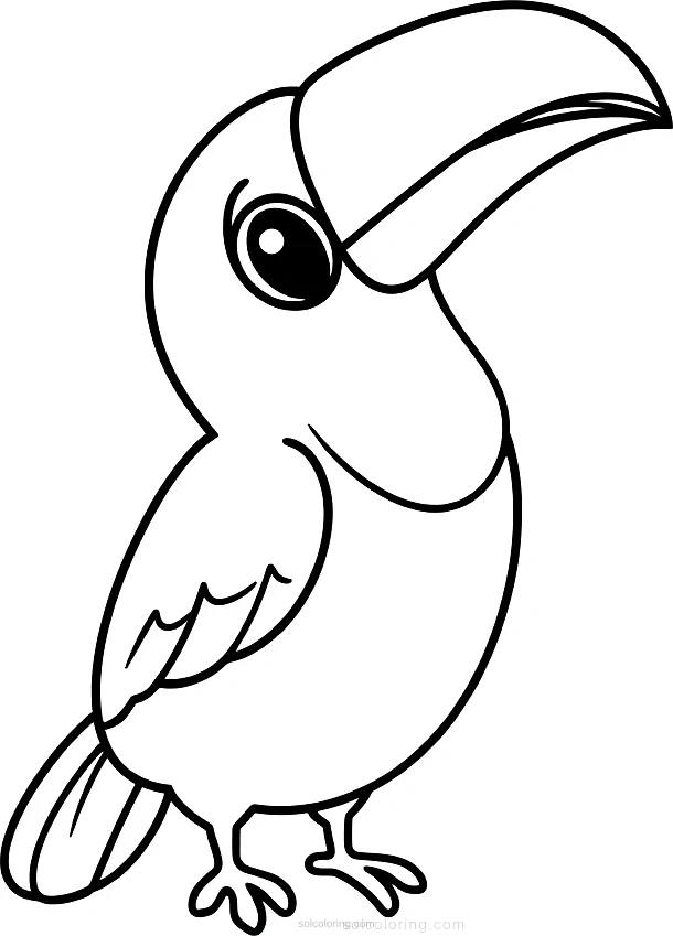 Toucan coloring page for kids