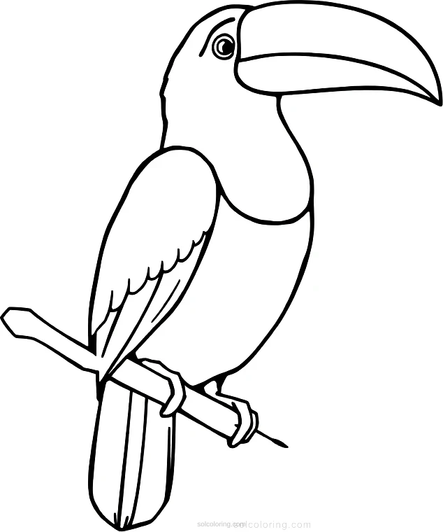 Toucan coloring page for kids