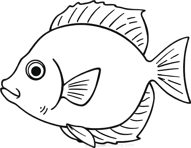 Tropical Fish coloring page for kids