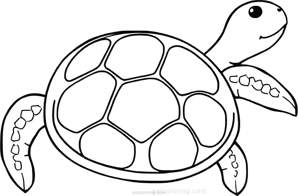Turtle coloring page for kids