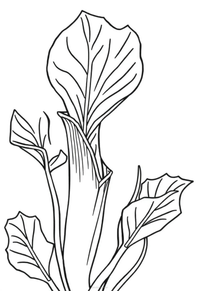 Venus Flytrap coloring page for kids