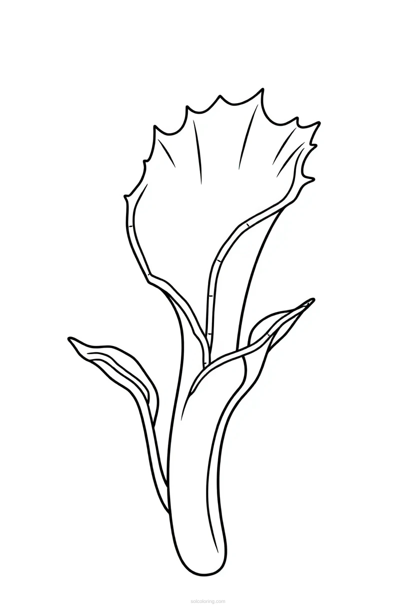 Venus Flytrap coloring page for kids