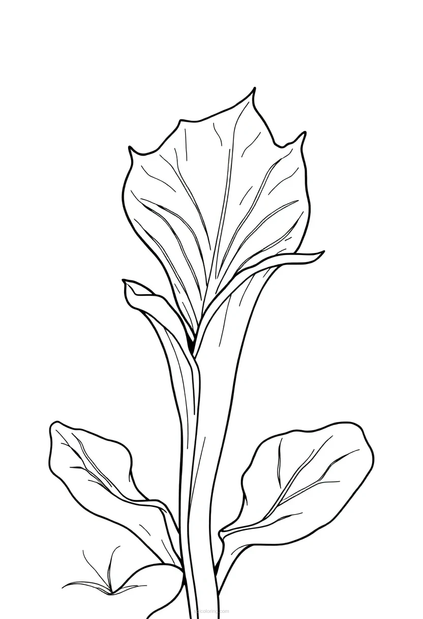 Venus Flytrap coloring page for kids