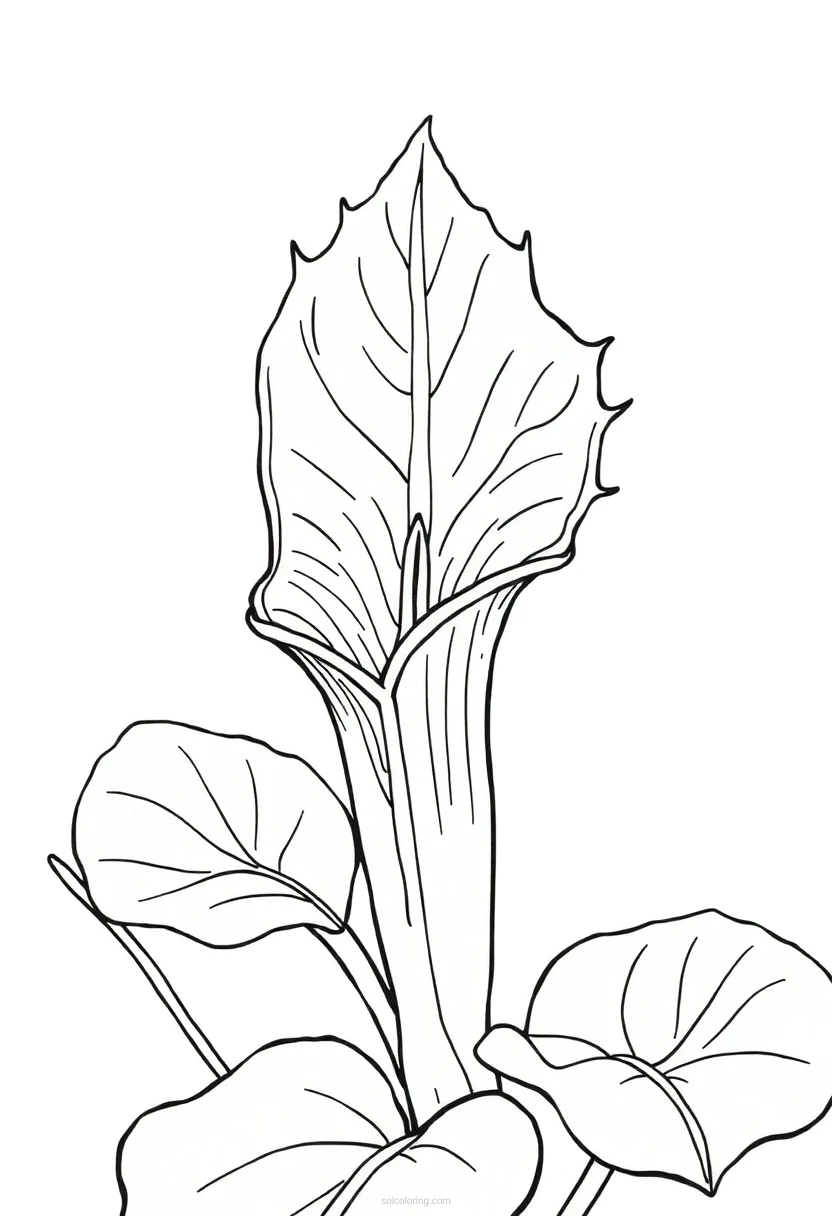 Venus Flytrap coloring page for kids