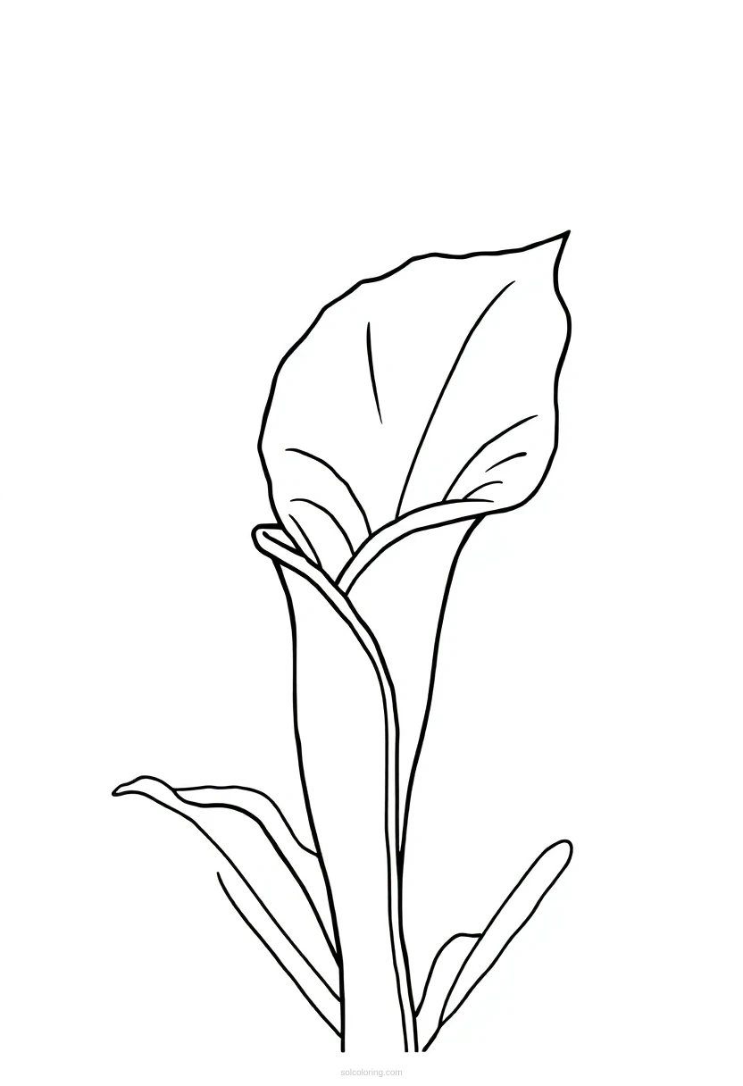 Venus Flytrap coloring page for kids