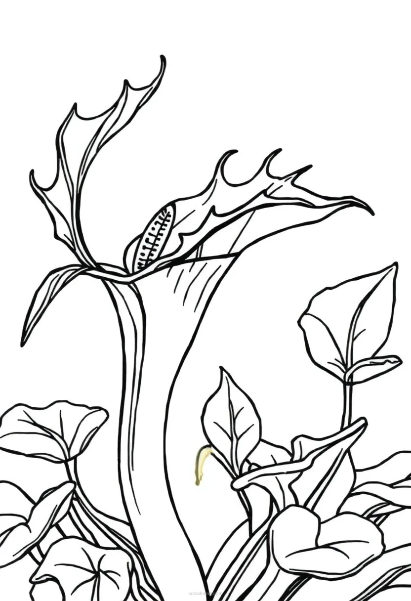 Venus Flytrap coloring page for kids