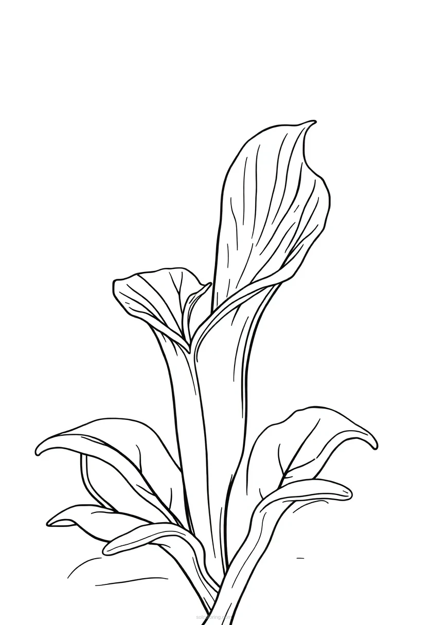 Venus Flytrap coloring page for kids