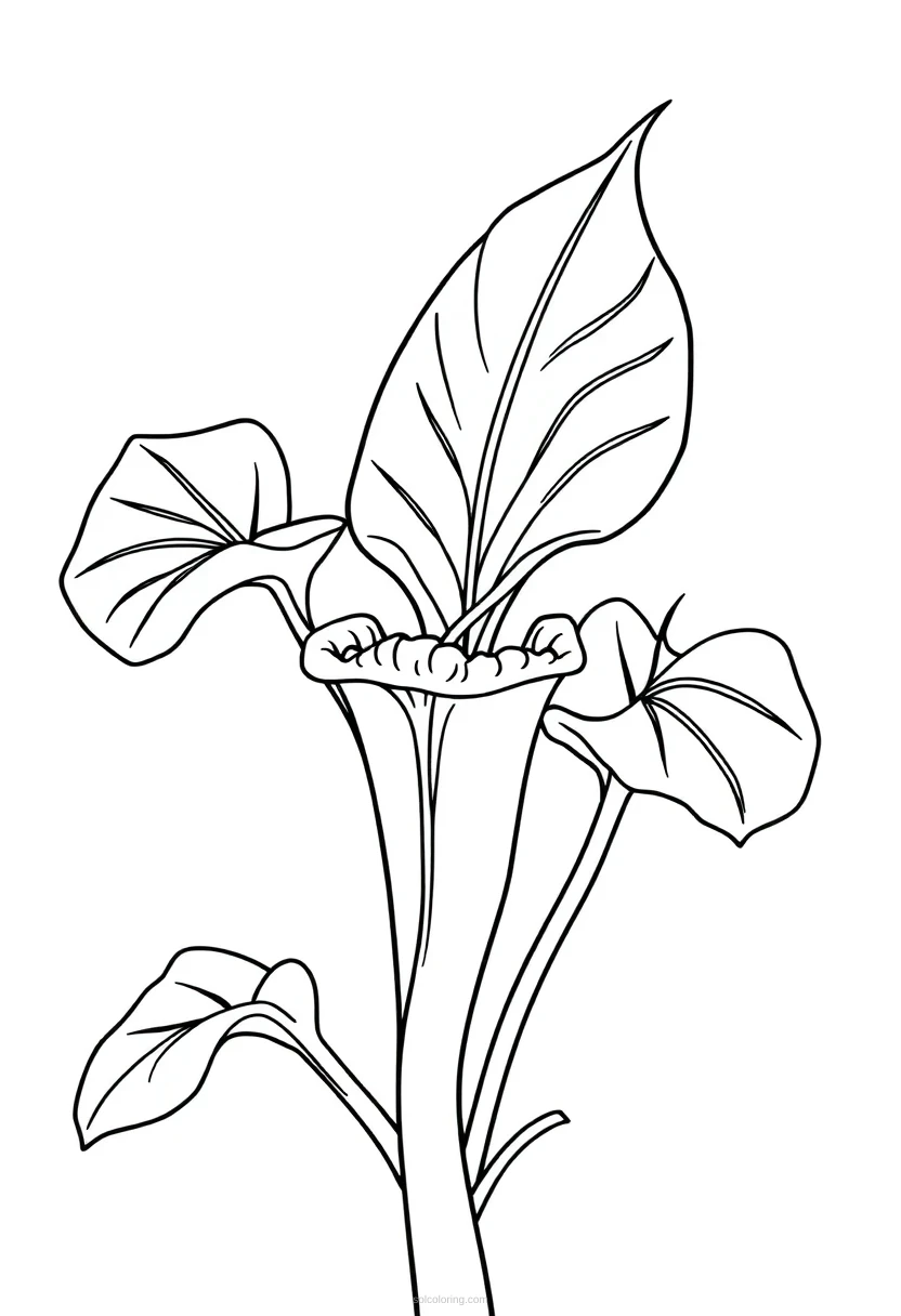 Venus Flytrap coloring page for kids