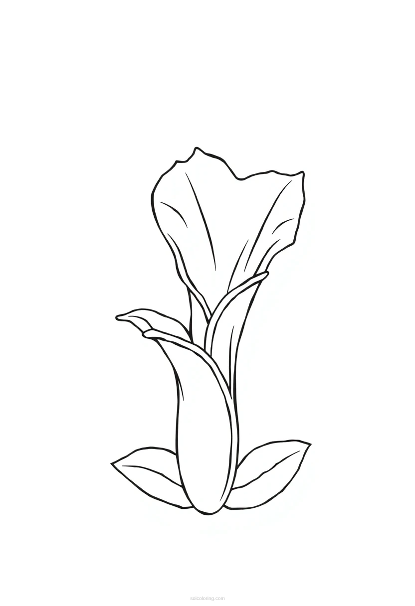 Venus Flytrap coloring page for kids