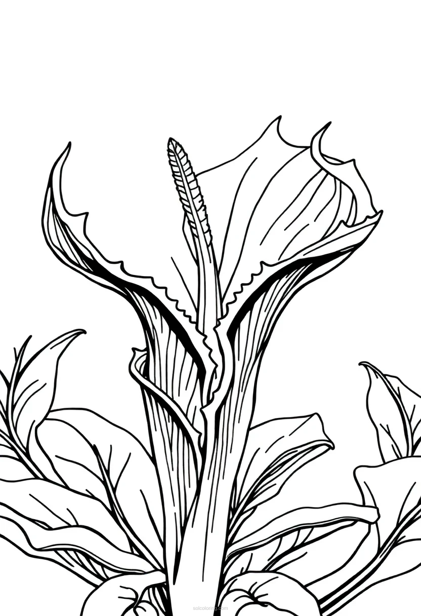 Venus Flytrap coloring page for kids