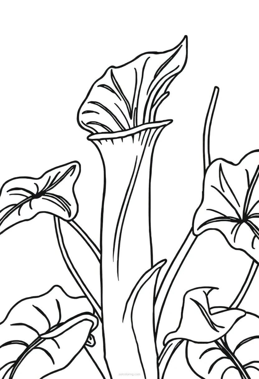 Venus Flytrap Simple coloring pages