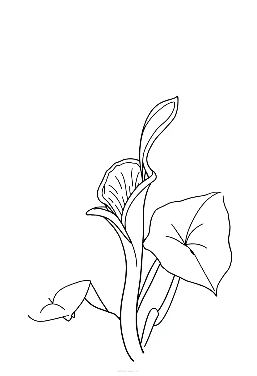Venus Flytrap coloring page for kids