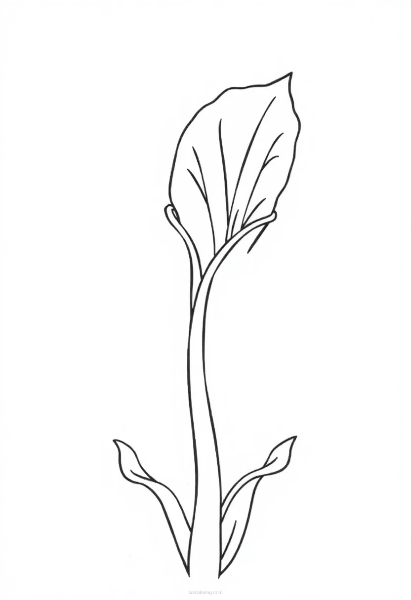 Venus Flytrap coloring page for kids