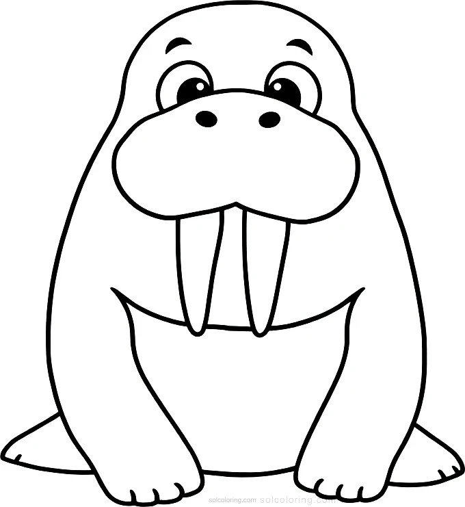 Walrus coloring page for kids