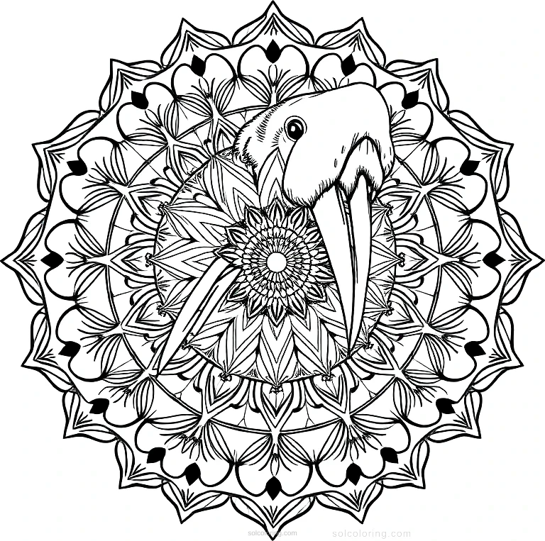 Walrus coloring page for kids