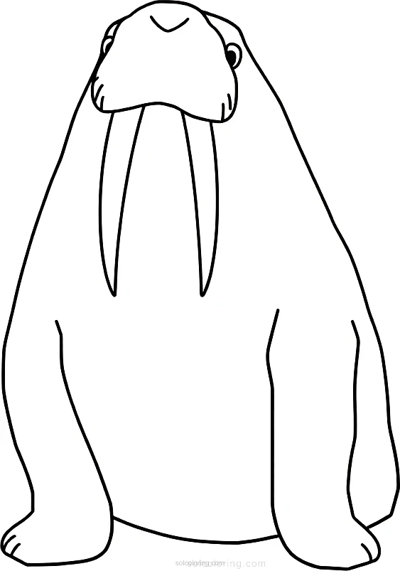 Walrus coloring page for kids