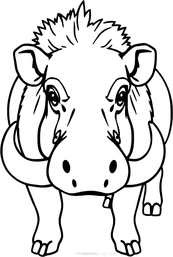 Warthog coloring page for kids